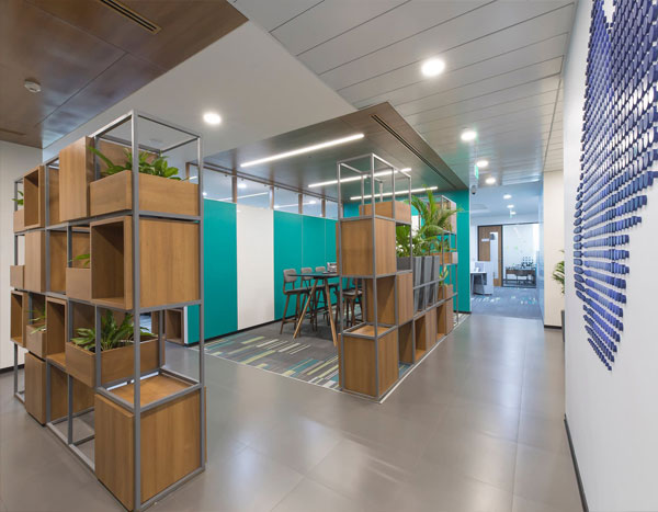 Commercial Interior